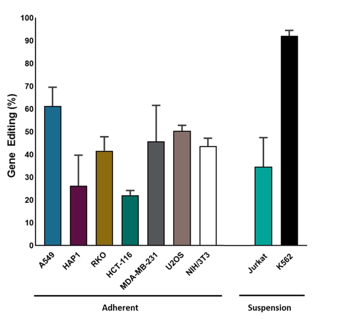 Efficient indel formation using Edit-R synthetic sgRNA in Cas9-expressing stable cell lines Cas9 expressing stable cell line supporting data