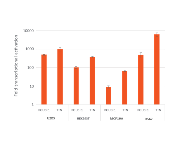 Efficient transcriptional gene activation with lentiviral sgRNA in dCas9-VPR stable cells