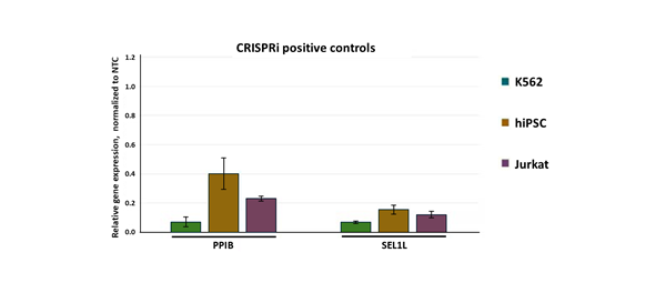 Robust gene knockdown with CRISPRi synthetic sgRNA positive controls Robust gene knockdown with CRISPRi synthetic sgRNA positive controls