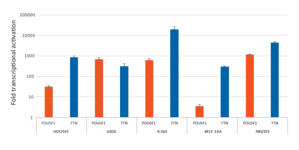 Efficient gene activation with CRISPRa synthetic crRNA in multiple dCas9-VPR stable cell lines Efficient transcriptional gene activation with synthetic crRNA:tracrRNA in dCas9-VPR stable cells