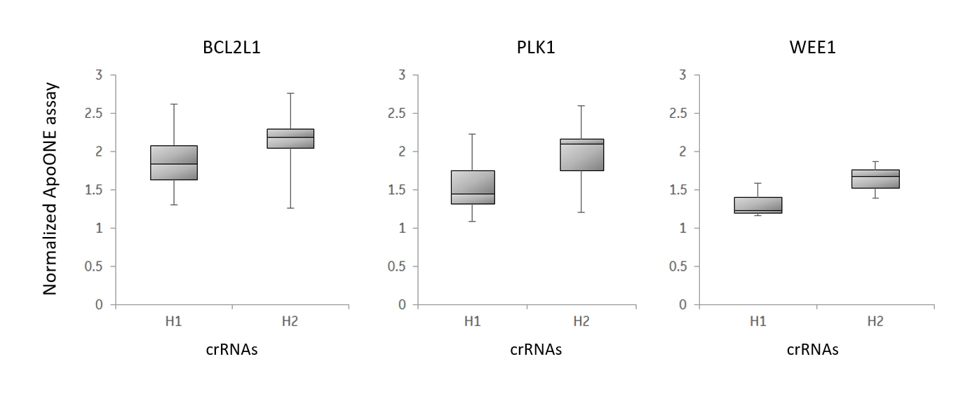 crRNAs with high algorithm functional scores also perform well in other functional assays