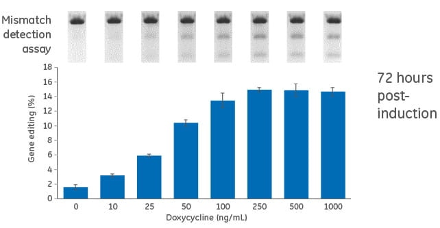 Dose response for doxycycline in inducible U2OS-Cas9 cells