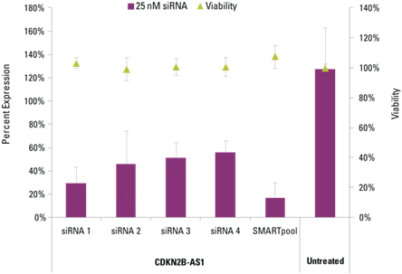 Knockdown of cdkn2b as1 in hela cells knockdown of cdkn2b as1 in hela cells