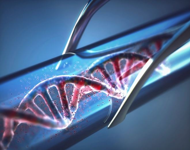 mimix half banner image