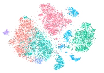 single cell screening image