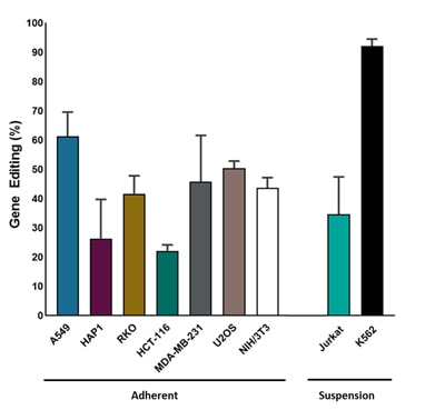 Efficient indel formation using Edit-R synthetic sgRNA in Cas9-expressing stable cell lines Cas9 expressing stable cell line supporting data