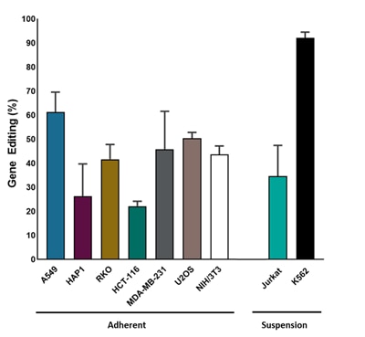 Cas9 expressing stable cell line supporting data