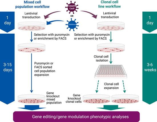 aio crispr
