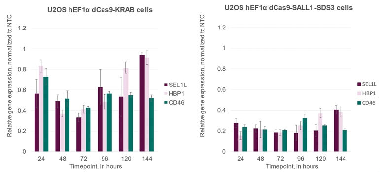 CRISPRi gene repression is observed 24 hours post-transfection and is maximal 48-72 hours post transfection