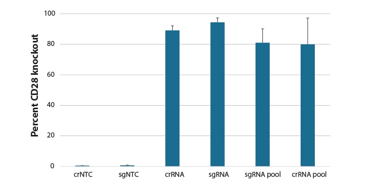 Comparison of synthetic guide RNA formats in gene knockout in CD4+ T cells