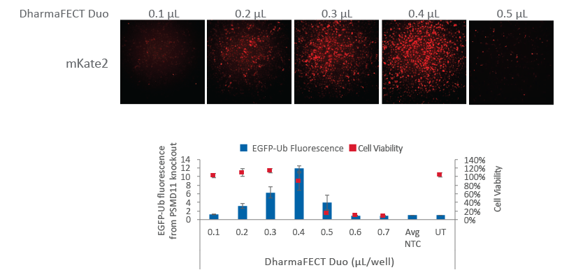 Fluorescent Cas9 nuclease mRNA indicates optimal transfection conditions Cas9 nuclease mRNA with fluorescent reporter