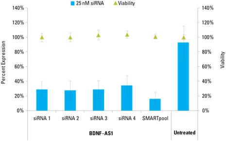Knockdown of bdnf as1 in hndf cells knockdown target lncRNAs