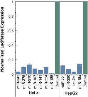 miRIDIAN microRNA Mimics simulate endogenous mature miRNA function miRIDIAN microRNA Mimics simulate endogenous mature miRNA function